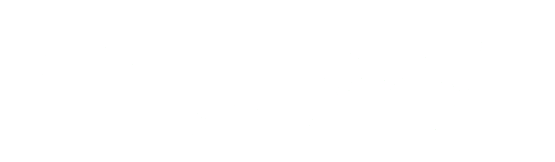 Fractional Financial Officers